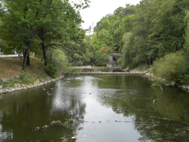 DSCN0483