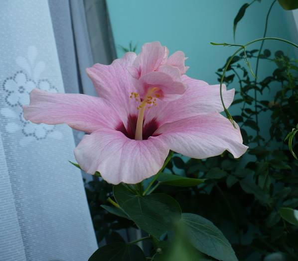 P1140299