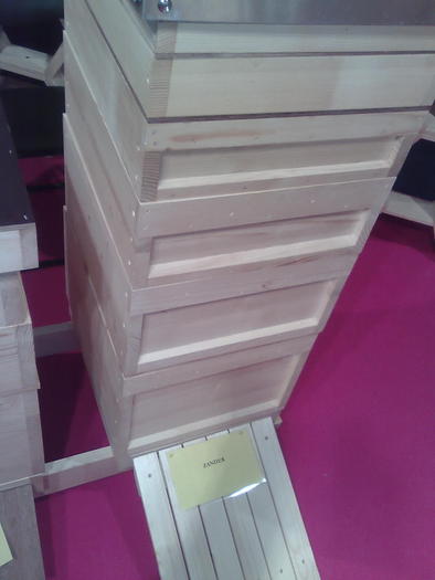 Imagine1151 - ApiMondia