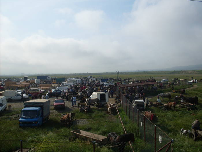 SDC10694; piata veresti
