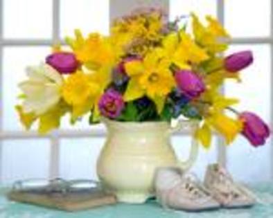 images_7