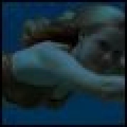 4522378591a7640560297s