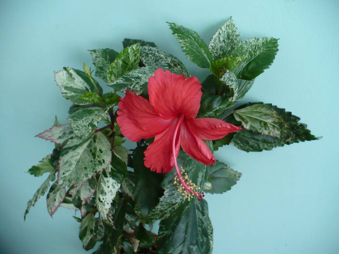 P1140754