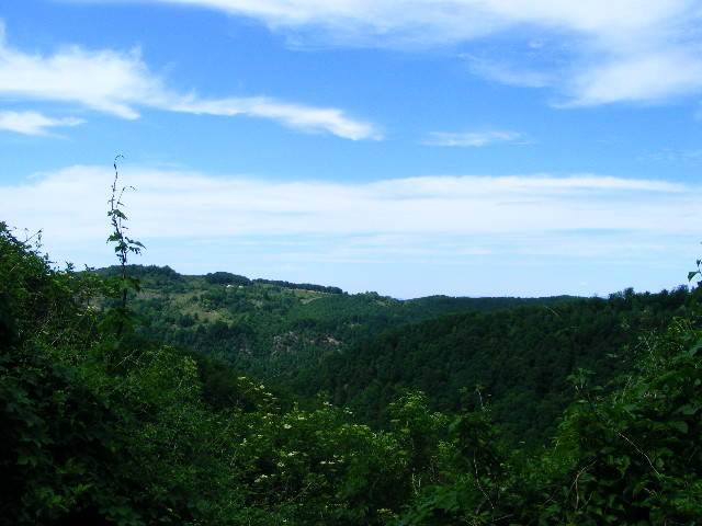 DSCF0600