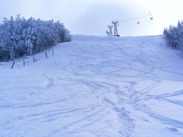 DSCF6351 - winter2008-2009