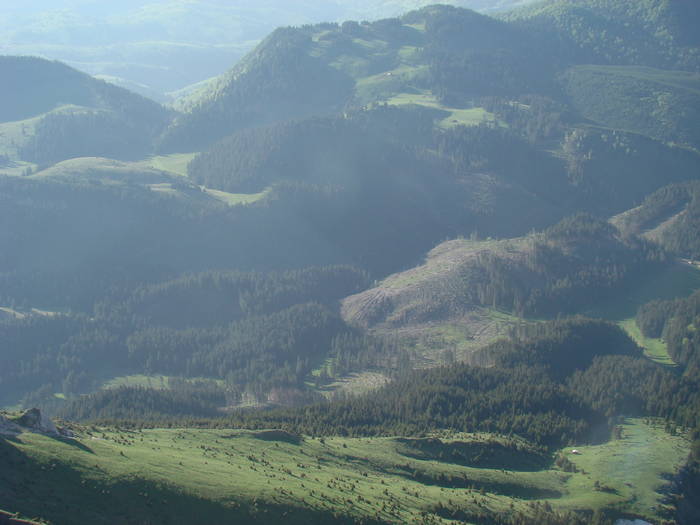 DSC03205 - Piatra Craiului MAI