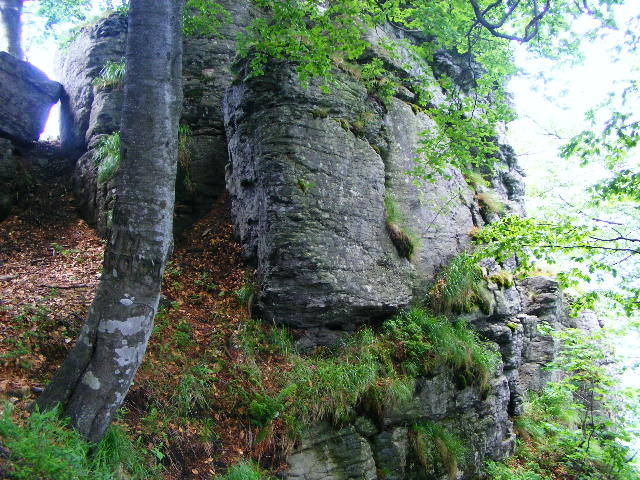 DSCF1963 - varful Ignis Maramures