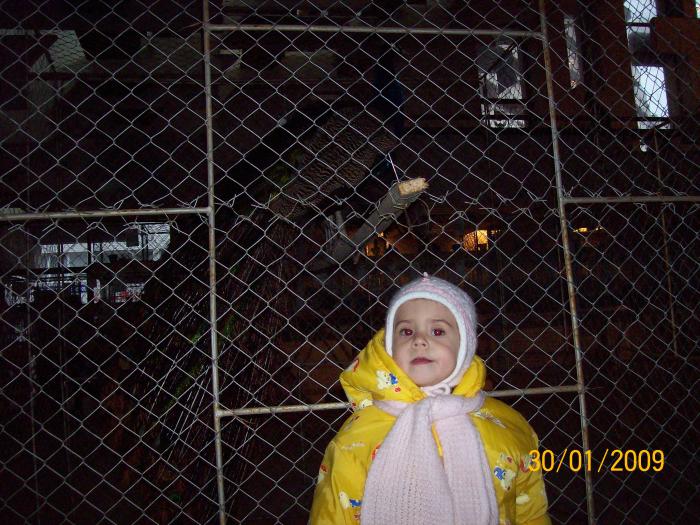 100_3795 - EXPO 2009 SATU MARE