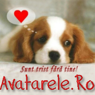 www_avatarele_ro__1229459176_598383[1] - Avatare