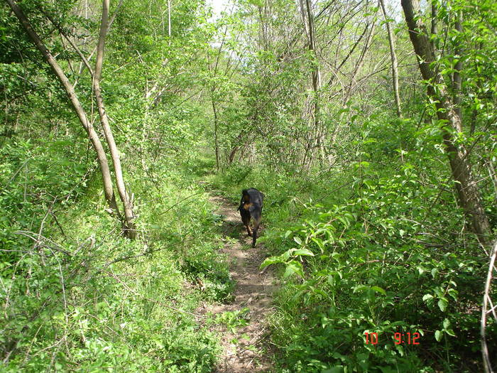 DSC04851 - BELLA poze noi