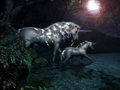 unicorns-7