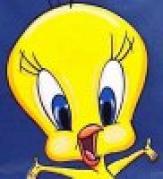 a_tweety2 - poze desene animate