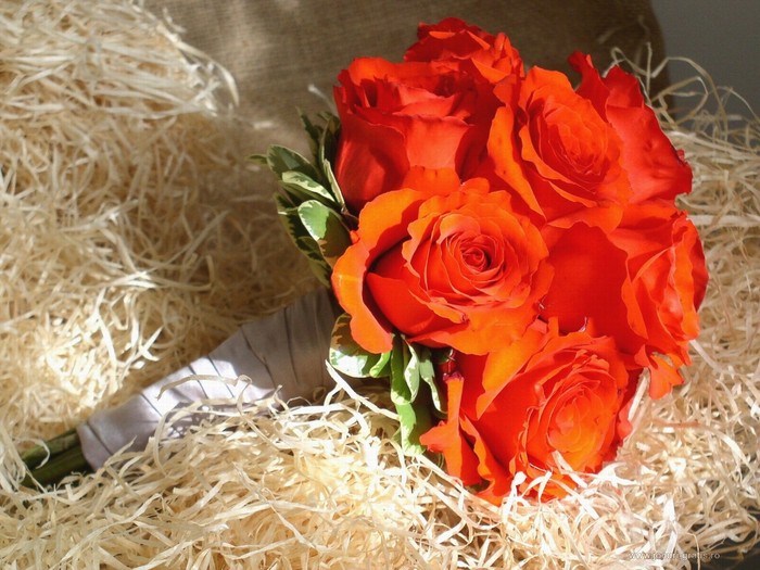 bouquet-wallpaper-nature_1600x1200 - logouri