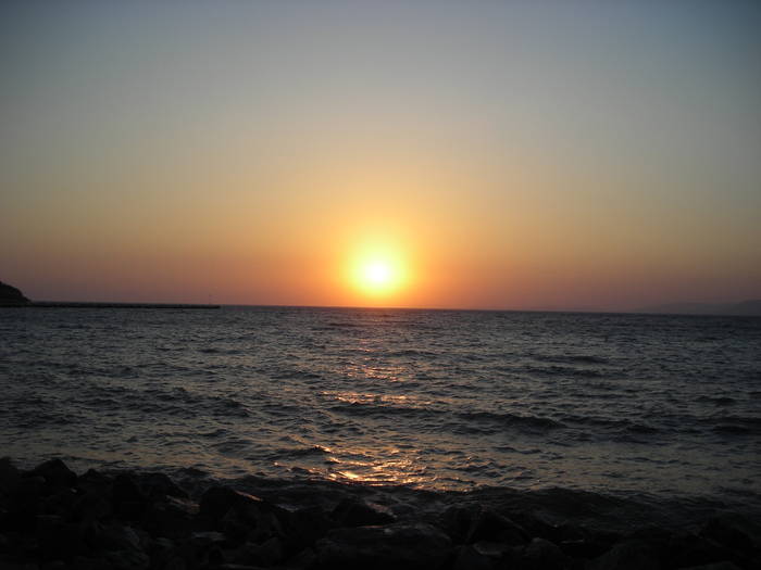 Picture Nokia 441