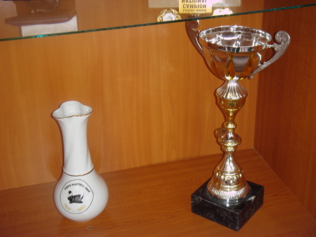 trofee 014 - trofee nationale si internationale cistigate cu blondinetii mei