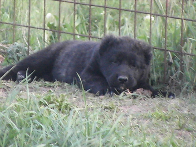 poze 04.05.2009 111