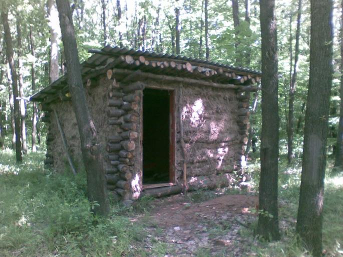 29052008 - vanatoare padure