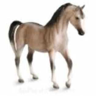 cal - Breyer horses