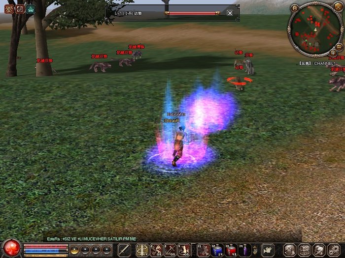 1214_113154 - metin 35 pserver poze noi