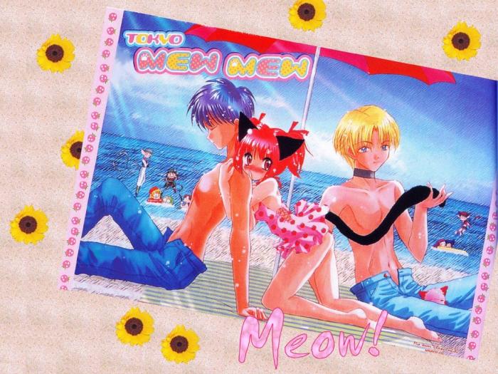mewboyswall1fu[1]