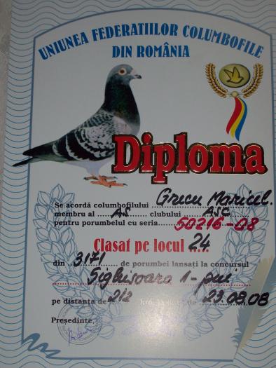 100_6134 - rezultate