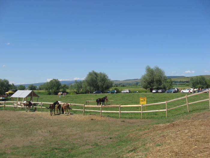 IMG_3046 - ECHITATIE 2008-2009