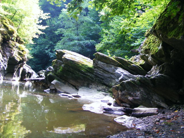 DSCF5198
