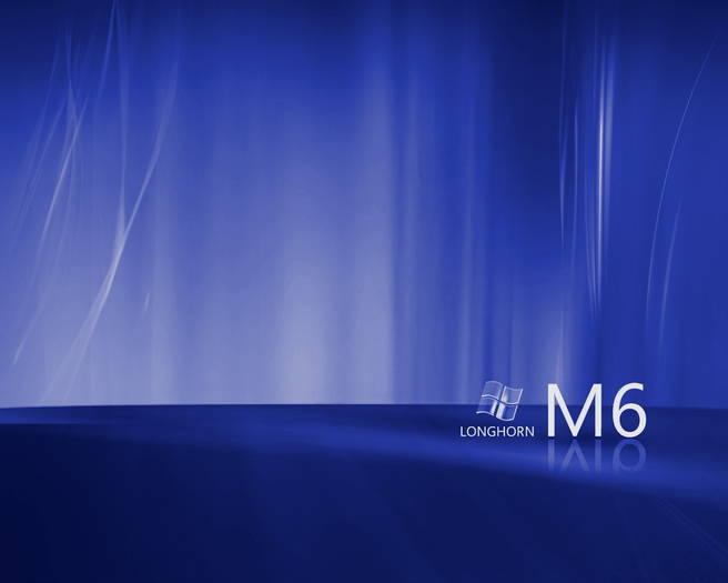 longhornm6 - POZE WINDOWS VISTA