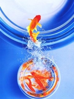 sgd1139438901.80561 - Mobile Wallpapers