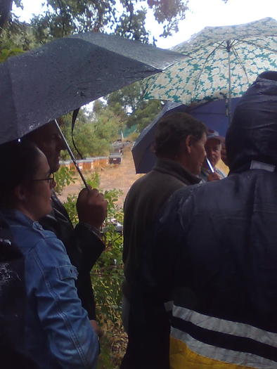 Imagine1369 - ApiMondia