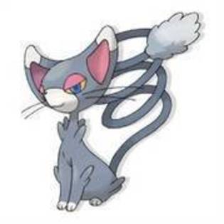 glewmiau