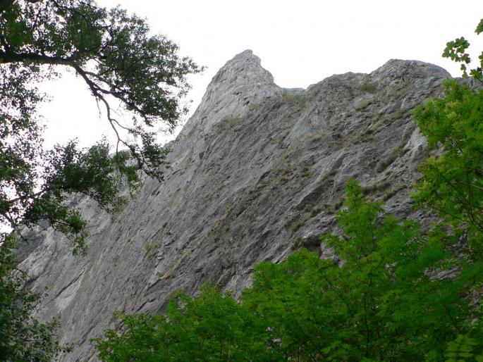 P100083