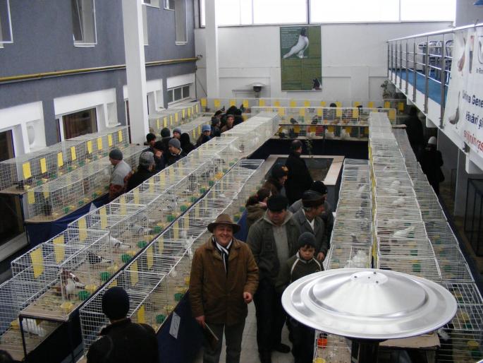 Expozitia 2 - Expo 2008 Bistrita
