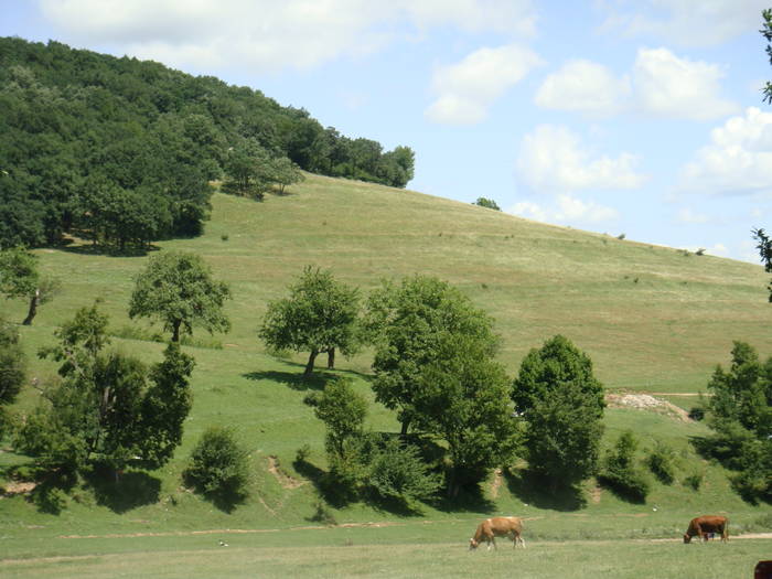 168 - vacanta 23  28 iulie 2009