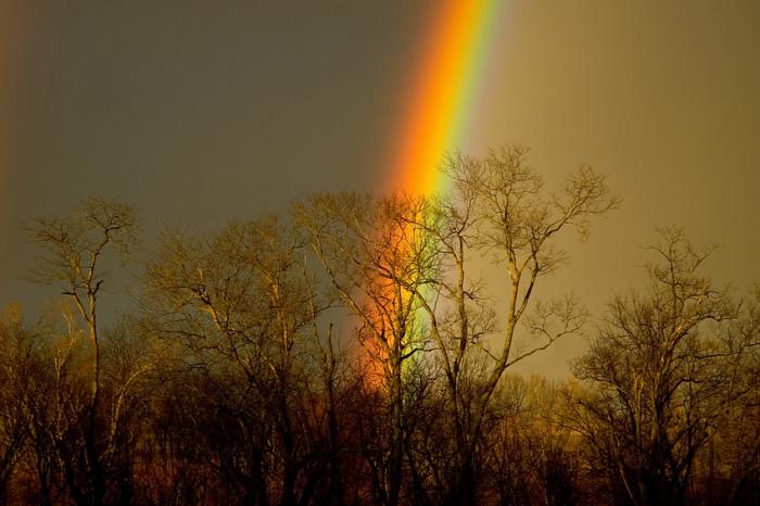 rainbow1 - RainBow