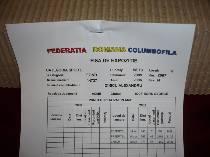 I-14737-06-RO-M loc 6 national 2009- fond-dinicu alexandru 0726750251; 14737-06-RO-M loc 6 national 2009- fond-dinicu alexandru 0726750251
