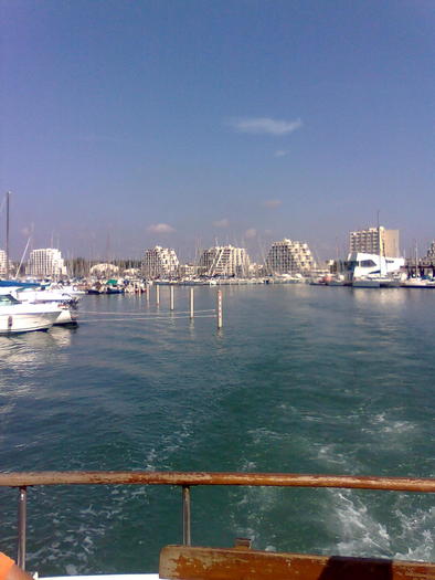 siajul epavei - ApiMondia