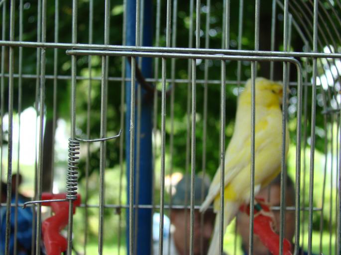 DSC00655 - 18-05-2008