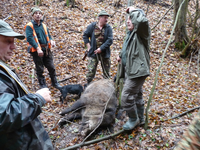 P1210696 - 2009-2010 Stolna Cluj