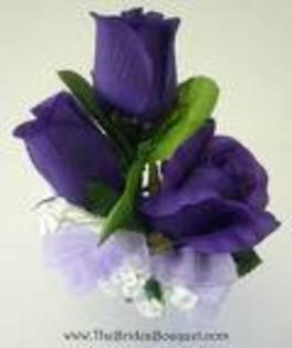 TE - Purple rose