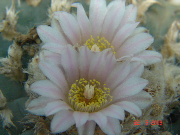 DSC05835