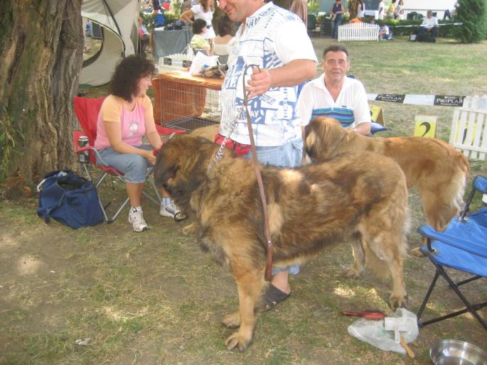 IMG_3340 - EXPO Tg Mures 2008