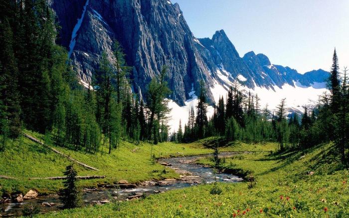 winding-stream_banff-national-park_alberta_canada - 171 - Nature Wallpapers