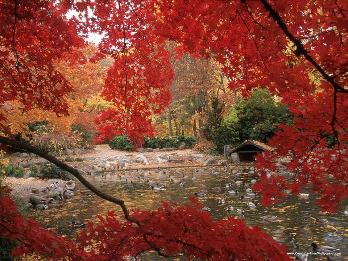 Lithia Park in Autumn, Ashland, Oregon
