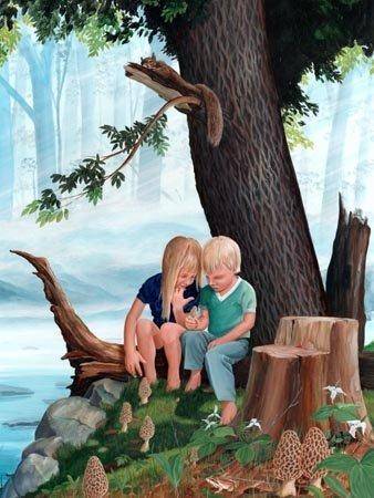 Morel_Discovery