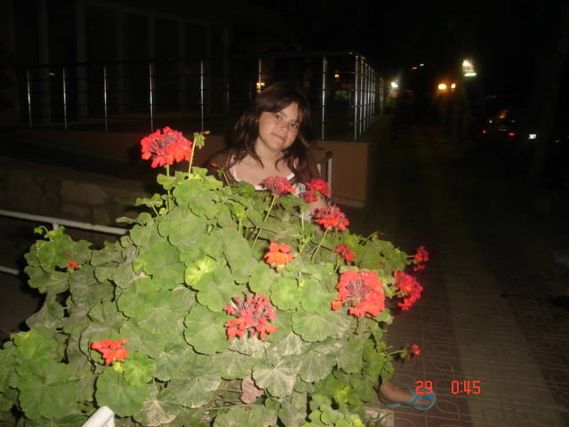 Picture Nokia 085 - 2007 TURCIA KUSADASI