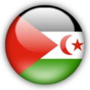 western_sahara - Countries Flags Avatars