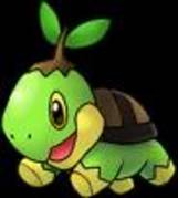 8o7o9 - turtwig