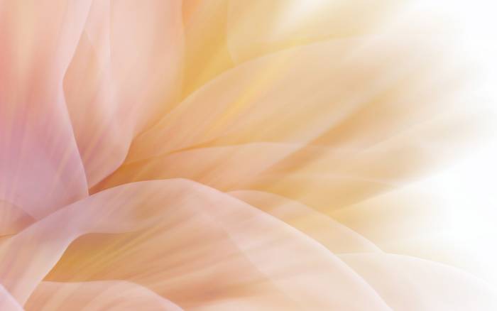 (492) - HD Wallpapers