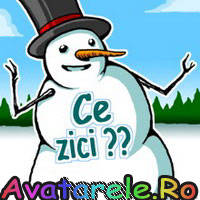 43 - Avatare